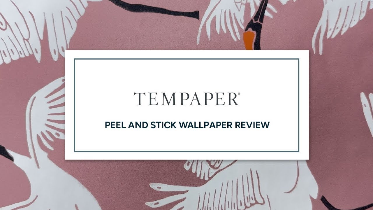 Tempaper Peel & Stick Wallpaper Review Ep. 5 Top 10 Brands YouTube