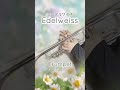 【エーデルワイス】トランペットとフリューゲルホルンで吹いてみた🎺