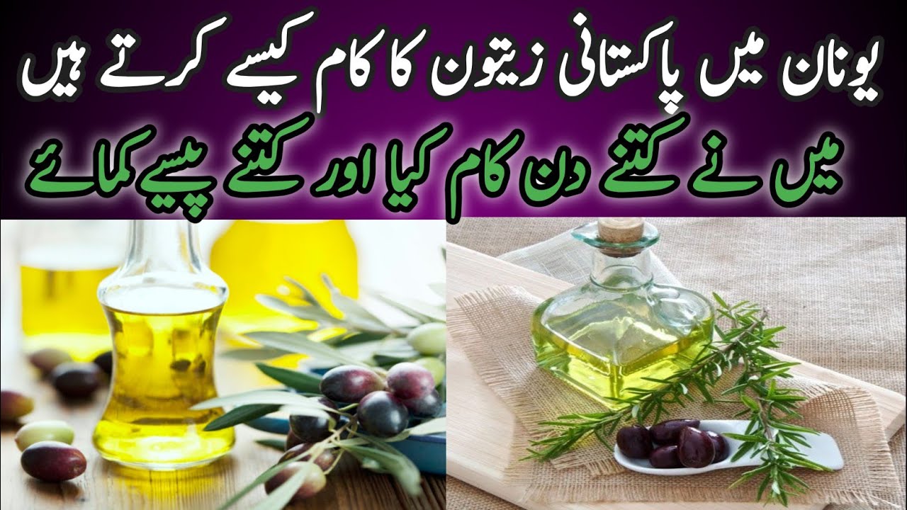 Zaitoon ka kaamolive oilPakistani in unanEurope YouTube