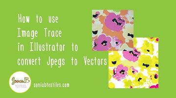 How to Image Trace in Illustrator to Convert Jpegs to Vector Images | Sonia B Textiles | Tutorial