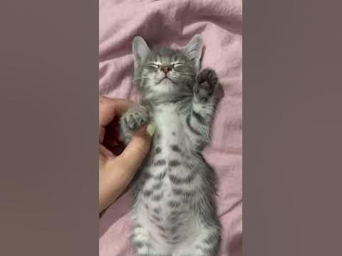 Милаш - YouTube