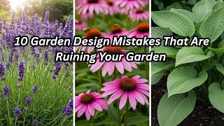 10 Garden Design Mistakes That Are Ruining Your Garden