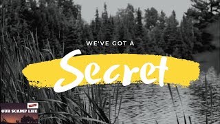 We have a Surprise!  Our Scamp Life