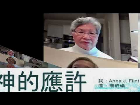 神的应许 2022 02 27