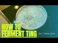 FOOD VLOG | How To Make Ting (traditional fermented porridge)