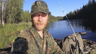 Рыбалка в Карелии на таежной реке, щука, окунь на спиннинг