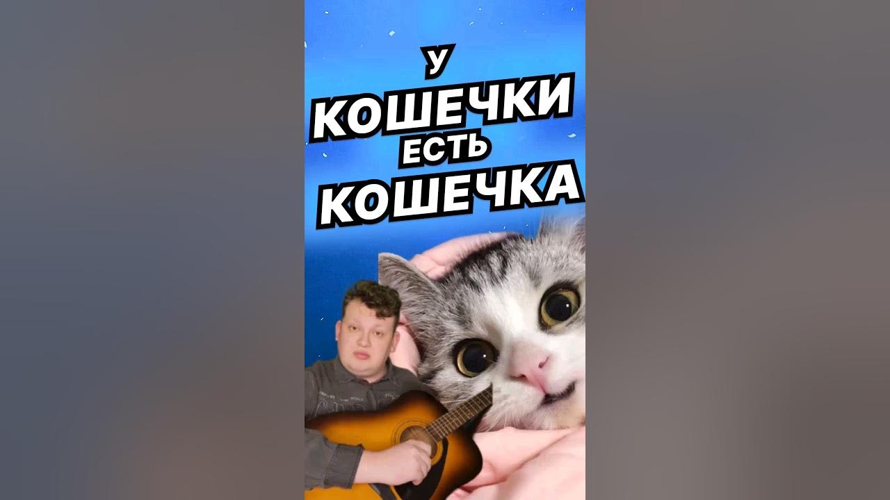 У меня есть только кошка. У меня есть только кошка
