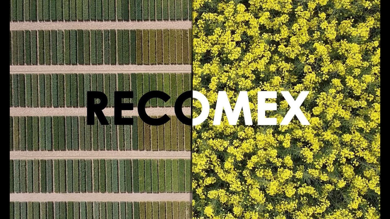 RECOMEX 2021. Resultats d’assaigs i innovacions en cultius extensius d’hivern.
