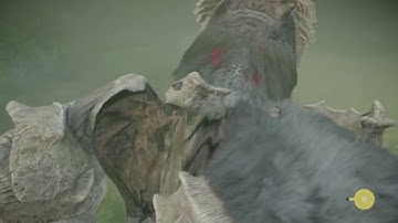 SHADOW OF THE COLOSSUS Prt 3, Phaedra and Avion