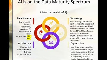 Advanced Analytics Webinar: Data Curation for Artificial Intelligence Strategies