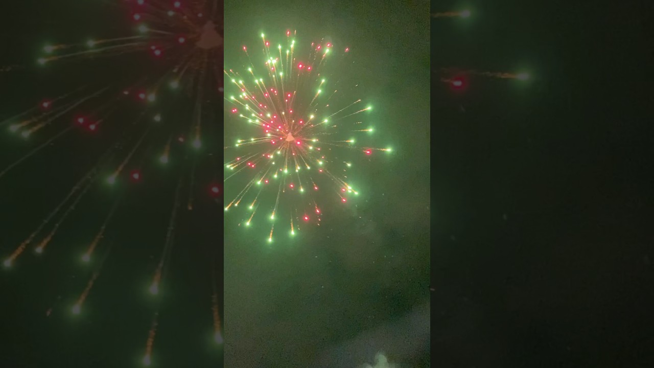 Sony Vinagya Green Rose Display Shell  Series Sky Shot 