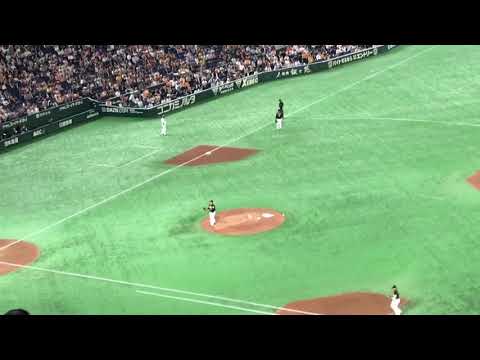 坂本勇人 出塁の鬼とかす【巨人vs.阪神2019.5.15】