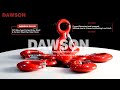 DAWSON DS156 G70 New type Forged Alloy Steel & Carbon Steel Eye Hoist Hook