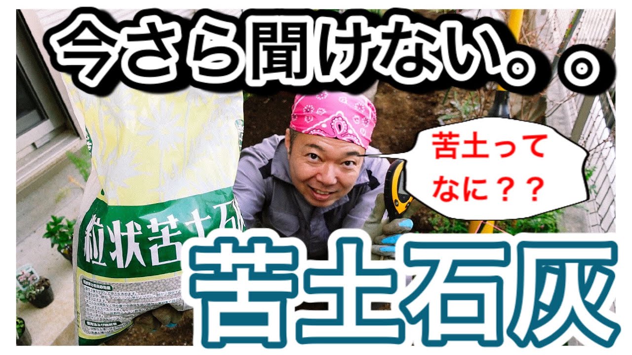 今さら聞けない 苦土石灰 狭い庭で家庭菜園 Youtube