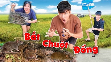 Thử Thách 1 Ngày Đi Bắt Chuột Sinh Tồn Ngoài Đồng | Anh Tóc Xoăn
