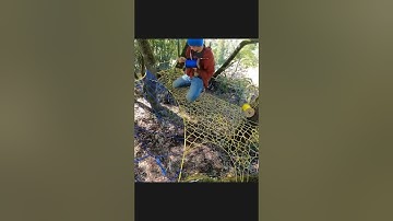 How to make a treenet, the basics. #HowTo #Treenet #Web #Spacenets #string #paracord  #Hammock #rope