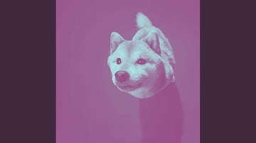 Pulsating Ambiance for Morning Dog Training