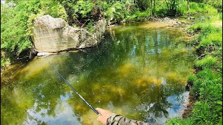 SPIN FISHING For Trout Using MEPPS SPINNERS #fishing #trout #troutfishing