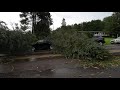 Onalaska, WI - Storms Bring Flash Flooding, Tree Damage, and Power Outages - Aug 7th, 2021