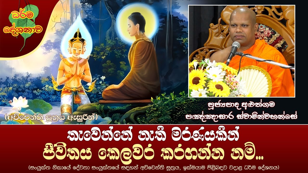 Ven Aluthgama Pannasara Thero  2023 06 14  10PM       