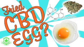 FRYING AN EGG IN CBD!!!