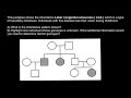 Genetics and Inheritance Patterns Quiz