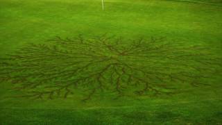 Lightning Strike Leaves Spectacular Mark on Golf Course in Wichita Falls, Texas