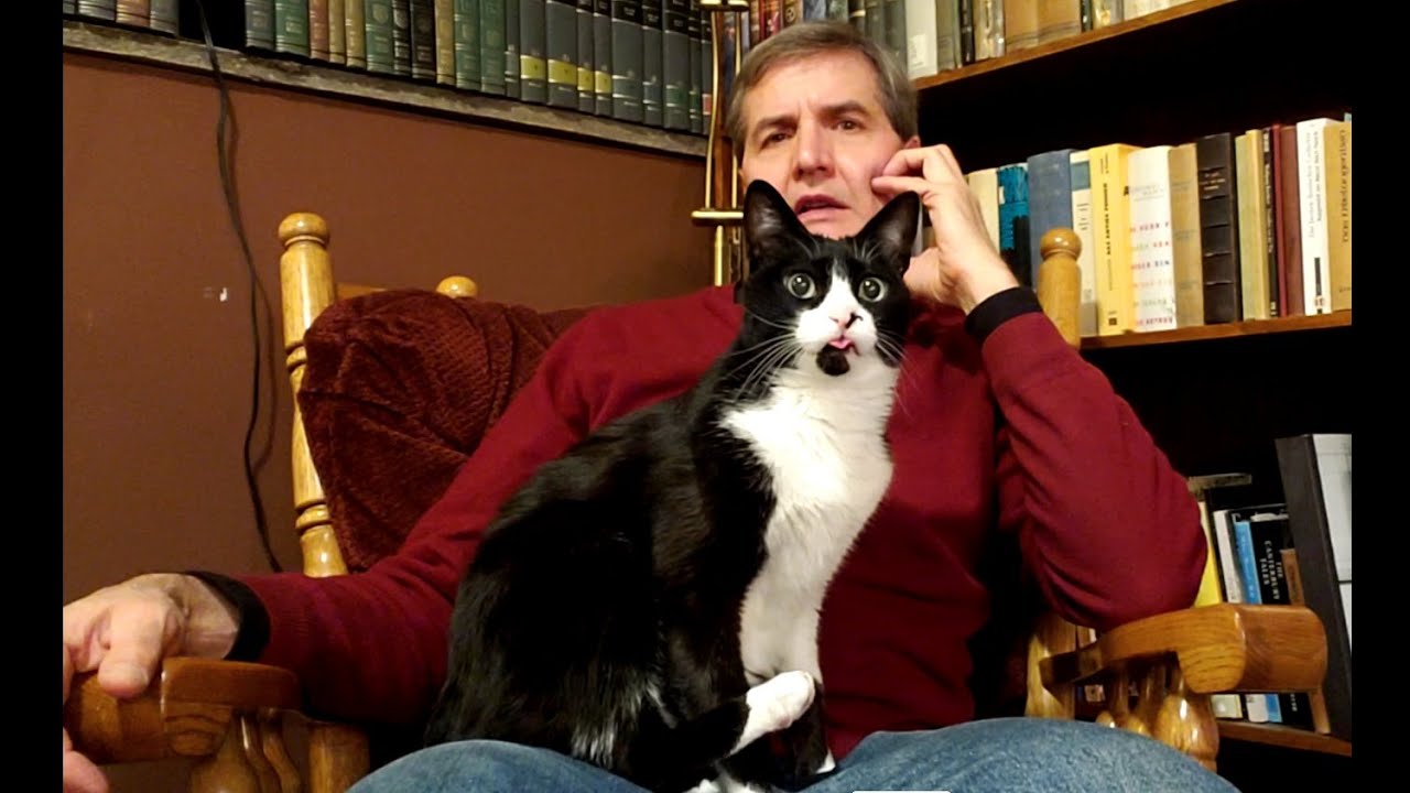 Об Аристотеле и о целенаправленной практике в высших языковых исследованиях (ред.)