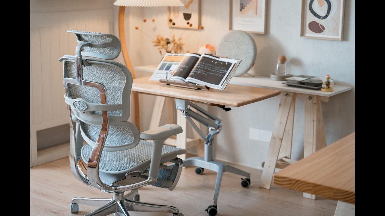 “Ergohuman Elite G2 Adjustments Guide | Full Ergonomic Office Chair Demo