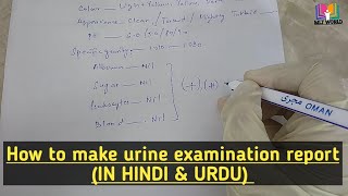 How to make urine routine examination report manual.What parameters are important to write in report