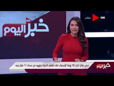 حبس صلاح دياب 15 يوما للإستيلاء على أراضي الدولة وتهربه من سداد 11 مليار جنيه