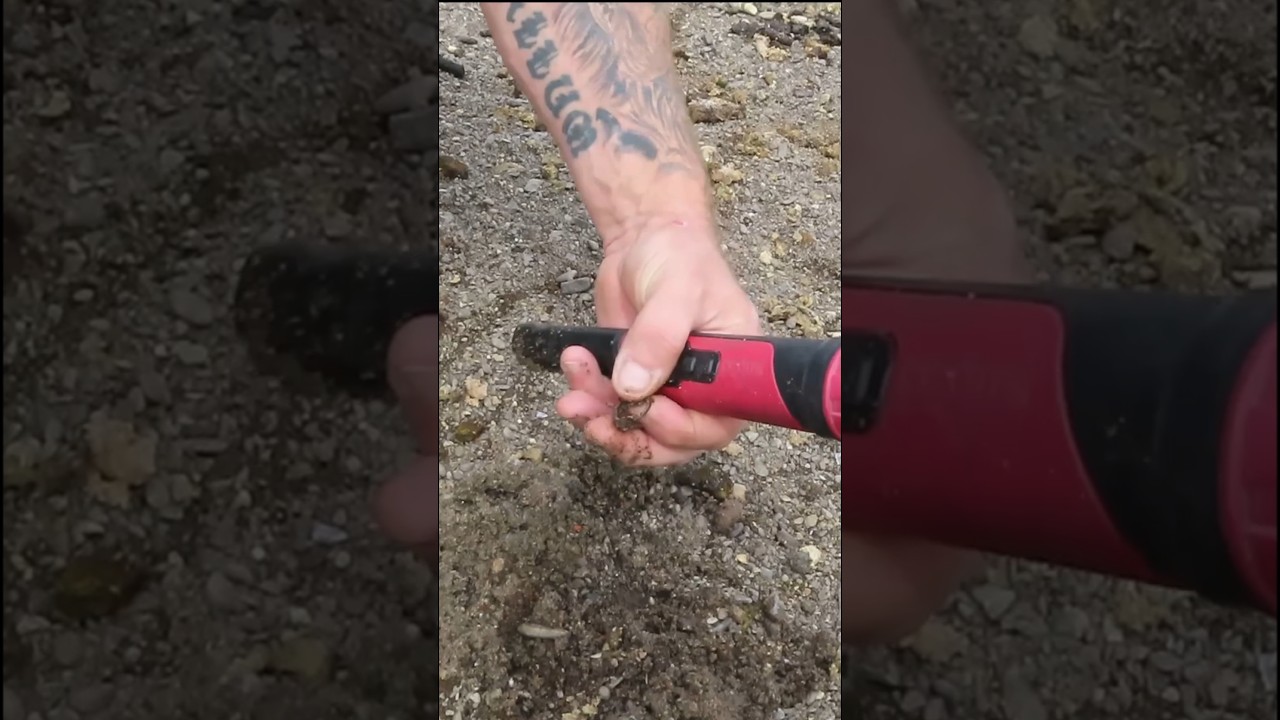 Stunning Ring Found! #metaldetecting #mudlarking #shorts