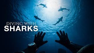 I Was Surrounded by 30 Sharks and Couldnt Move