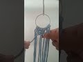 macrame plant hanging #shrots #diy #macramebag #macrametutorial #macrame