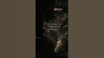 عمر محجوب سورة القدر