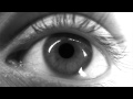 Book Trailer | Caixa de Pássaros, Josh Malerman