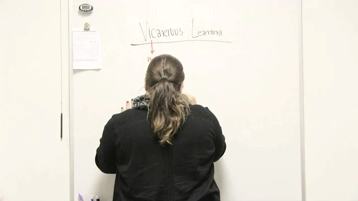 What is vicarious learning in psychology? (2023)