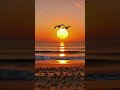 Sail Away 🌅 Starlight