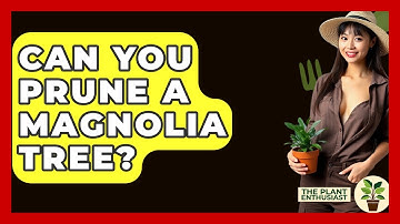 Can You Prune A Magnolia Tree? - The Plant Enthusiast