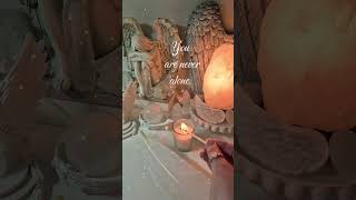 ✨️Your evening Whisper ✨️