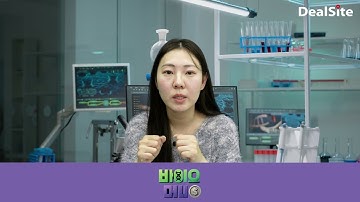 헬스케어! 네이버는 사고, 카카오는 팔고! 왜 둘은 반대로 갔을까?