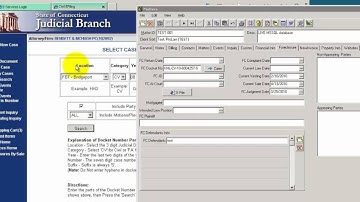 ProLaw custom button website automation demo
