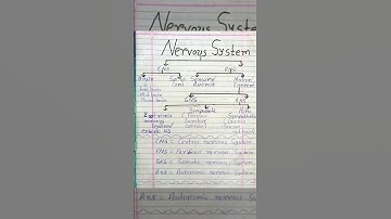 cns and pns nervous system #anatomy #notes #nervoussystem