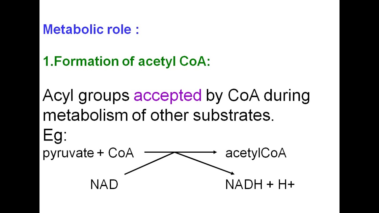 Biotin and Pantothenic acid YouTube
