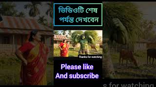 “গ্রামে হাল্কের তিন কাণ্ড 😂” #ai #হাল্ক #funny #short