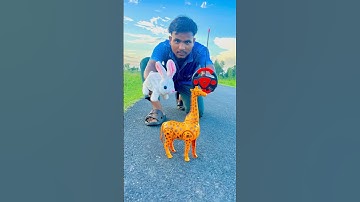 Rc deer and remote control rabbit unboxing & testing ￼￼