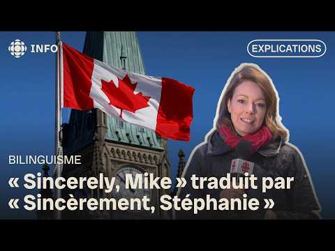 Canadian government's AI translation tool generates errors | Front Line