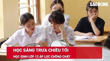 Học sáng trưa chiều tối, học sinh lớp 12 áp lực chồng chất | Báo Lao Động