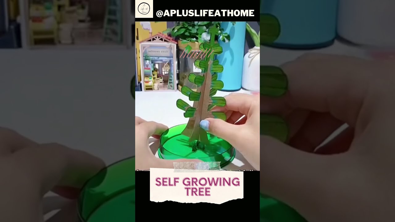 MAGIC GROWING Christmas Tree Video Magic Growing Christmas Tree