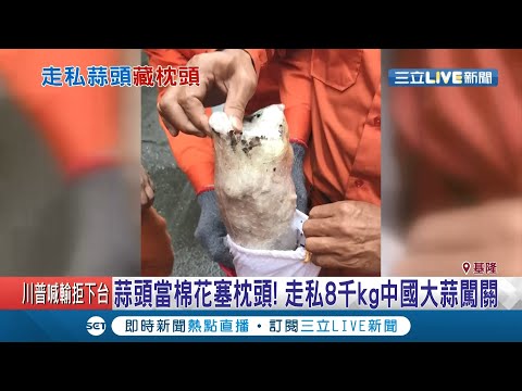 扯！蒜頭當棉花塞枕頭裡...走私8千kg中國蒜頭企圖闖關！│記者林俊華 洪儀婷│【LIVE大現場】20200926│三立新聞台